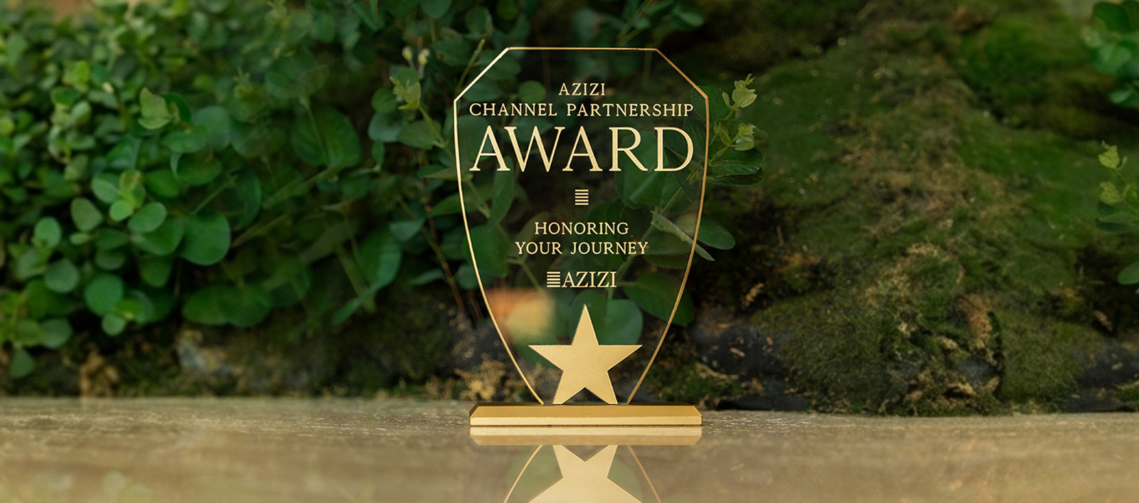 Azizi Channeal Partnership Award